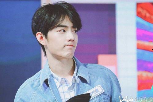 肖战最新事件新爆料,深度揭秘背后真相与影响